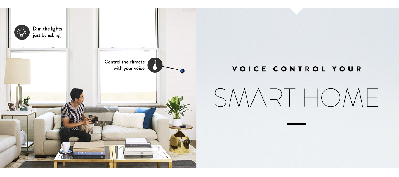 Echo Dot (2nd Generation)