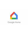 Google Assistant